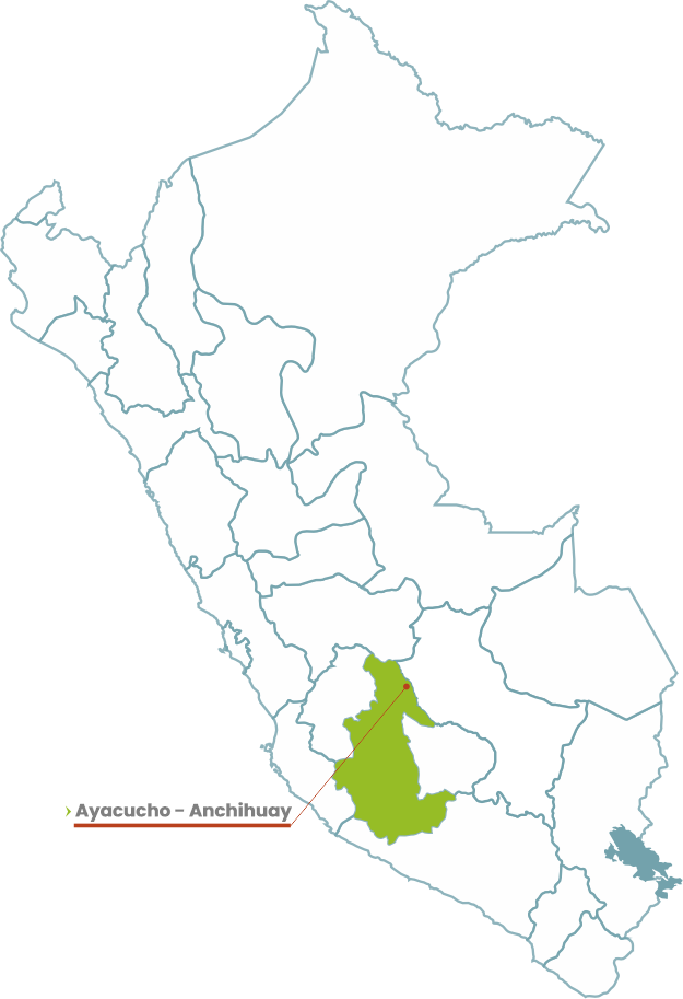 mapa anchihuay
